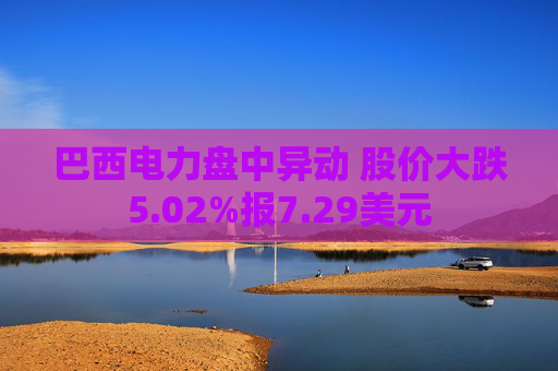 巴西电力盘中异动 股价大跌5.02%报7.29美元  第1张