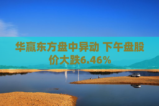 华赢东方盘中异动 下午盘股价大跌6.46%