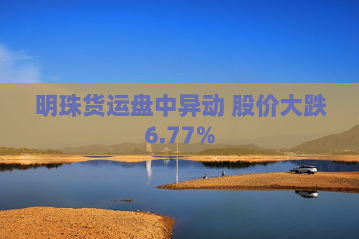 明珠货运盘中异动 股价大跌6.77%