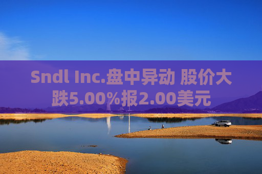 Sndl Inc.盘中异动 股价大跌5.00%报2.00美元