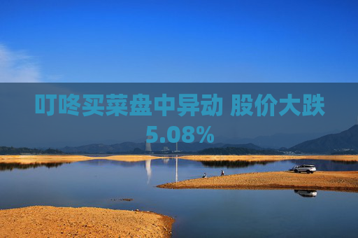 叮咚买菜盘中异动 股价大跌5.08%