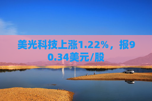 美光科技上涨1.22%，报90.34美元/股