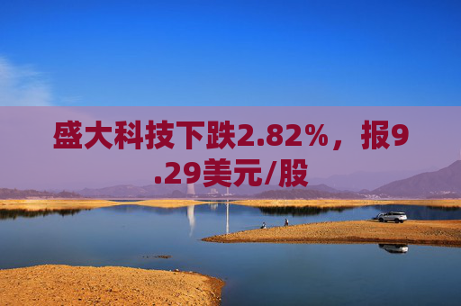 盛大科技下跌2.82%，报9.29美元/股  第1张