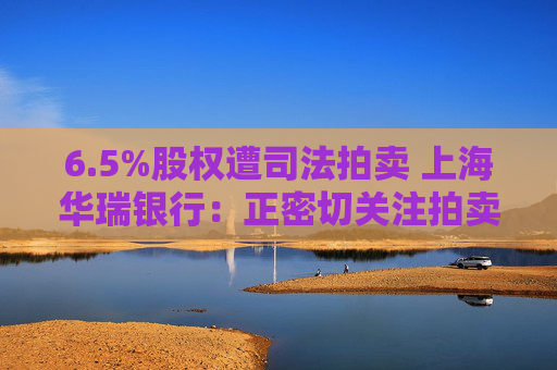 6.5%股权遭司法拍卖 上海华瑞银行：正密切关注拍卖进程  第1张