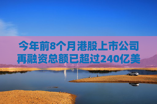 今年前8个月港股上市公司再融资总额已超过240亿美元  第1张