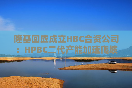 隆基回应成立HBC合资公司：HPBC二代产能加速爬坡，HBC技术与金阳相互独立  第1张