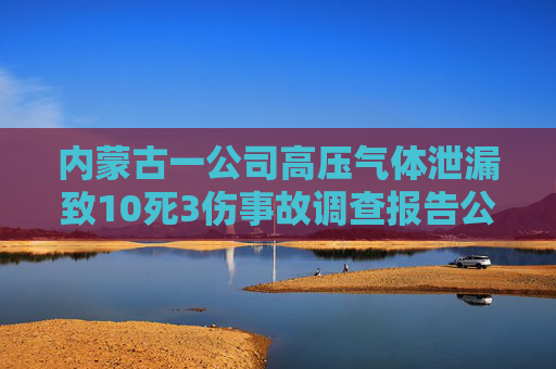 内蒙古一公司高压气体泄漏致10死3伤事故调查报告公布，22人被问责  第1张