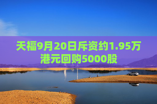 天福9月20日斥资约1.95万港元回购5000股