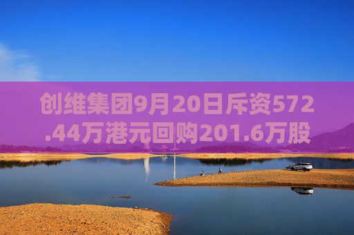 创维集团9月20日斥资572.44万港元回购201.6万股  第1张