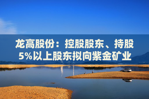 龙高股份：控股股东、持股5%以上股东拟向紫金矿业转让部分股份  第1张