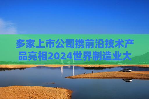 多家上市公司携前沿技术产品亮相2024世界制造业大会  第1张