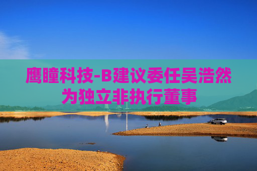 鹰瞳科技-B建议委任吴浩然为独立非执行董事  第1张