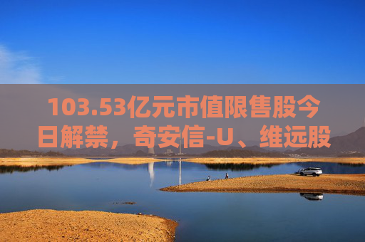 103.53亿元市值限售股今日解禁，奇安信-U、维远股份、飞南资源解禁市值居前