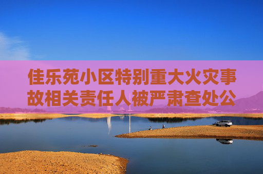 佳乐苑小区特别重大火灾事故相关责任人被严肃查处公安机关对10名涉案人员立案侦查纪检监察机关严肃问责55名公职人员