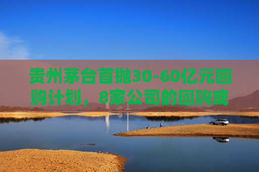 贵州茅台首抛30-60亿元回购计划，8家公司的回购或增持谁更有诚意？  第1张