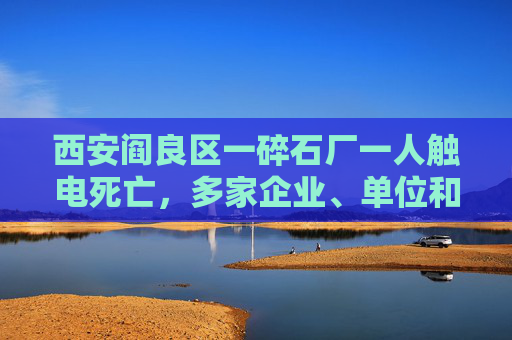 西安阎良区一碎石厂一人触电死亡，多家企业、单位和个人被处理  第1张