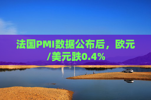 法国PMI数据公布后，欧元/美元跌0.4%