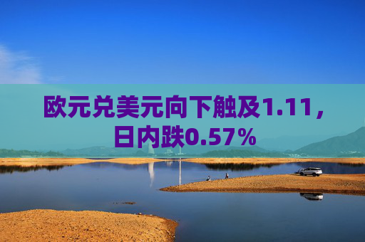 欧元兑美元向下触及1.11，日内跌0.57%  第1张