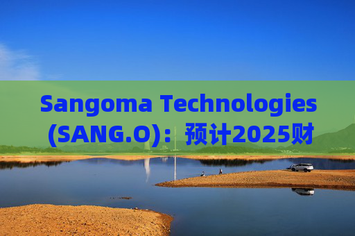 Sangoma Technologies (SANG.O)：预计2025财年收入在2.5亿至2.6亿美元之间