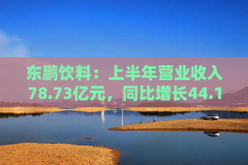 东鹏饮料：上半年营业收入78.73亿元，同比增长44.19%  第1张