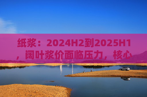 纸浆：2024H2到2025H1，阔叶浆价面临压力，核心因素是供给  第1张