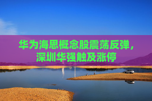 华为海思概念股震荡反弹，深圳华强触及涨停