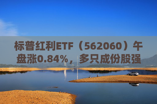 标普红利ETF（562060）午盘涨0.84%，多只成份股强劲上涨！机构：坚守真红利和优质成长板块  第1张