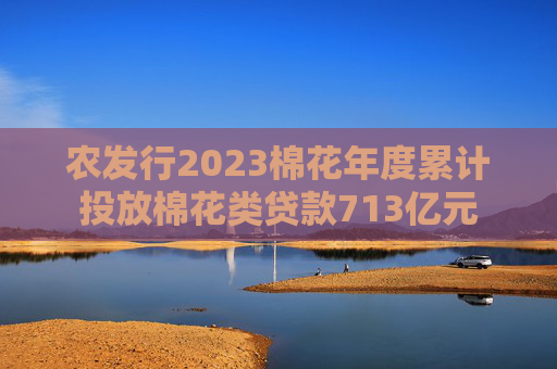 农发行2023棉花年度累计投放棉花类贷款713亿元  第1张