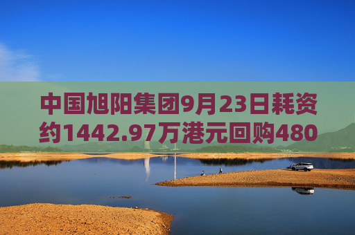 中国旭阳集团9月23日耗资约1442.97万港元回购480万股