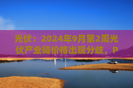 光伏：2024年9月第2周光伏产业链价格出现分歧，Pv_InfoLink周度报价数月以来首次全线止跌