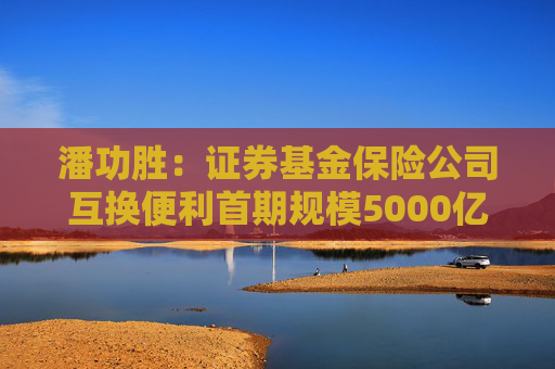 潘功胜：证券基金保险公司互换便利首期规模5000亿，获取的资金只能用于投资股市  第1张