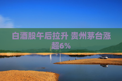 白酒股午后拉升 贵州茅台涨超6%  第1张