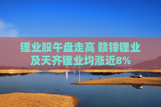 锂业股午盘走高 赣锋锂业及天齐锂业均涨近8%