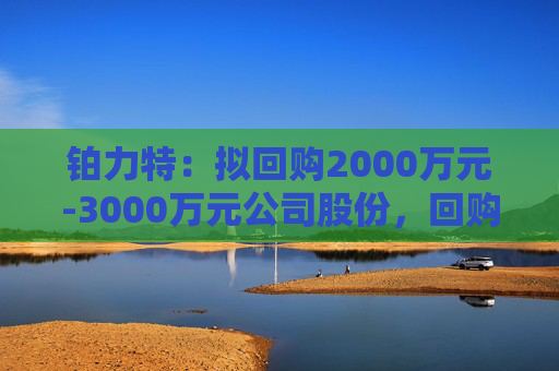 铂力特：拟回购2000万元-3000万元公司股份，回购价不超65.34元/股