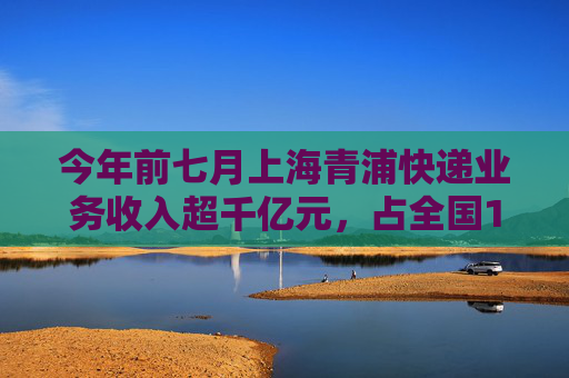 今年前七月上海青浦快递业务收入超千亿元，占全国14.6%  第1张