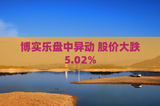 博实乐盘中异动 股价大跌5.02%  第1张