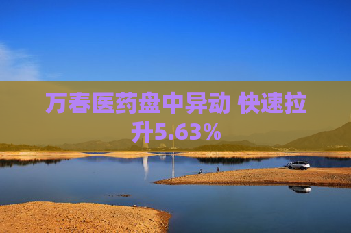 万春医药盘中异动 快速拉升5.63%