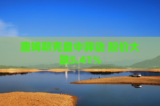 康姆斯克盘中异动 股价大跌5.41%  第1张