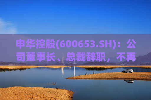 申华控股(600653.SH)：公司董事长、总裁辞职，不再担任公司任何职务  第1张