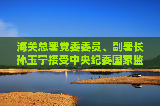 海关总署党委委员、副署长孙玉宁接受中央纪委国家监委纪律审查和监察调查