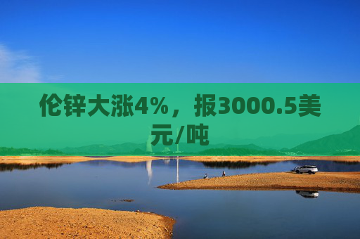 伦锌大涨4%，报3000.5美元/吨  第1张