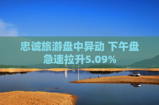 忠诚旅游盘中异动 下午盘急速拉升5.09%  第1张