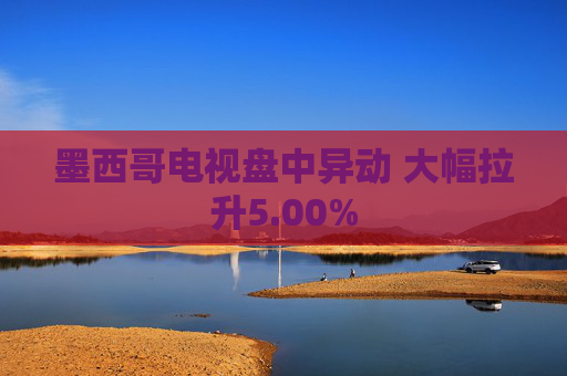 墨西哥电视盘中异动 大幅拉升5.00%  第1张