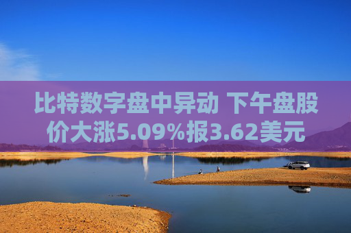 比特数字盘中异动 下午盘股价大涨5.09%报3.62美元  第1张