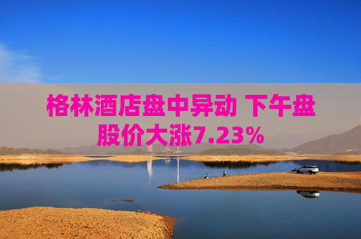 格林酒店盘中异动 下午盘股价大涨7.23%