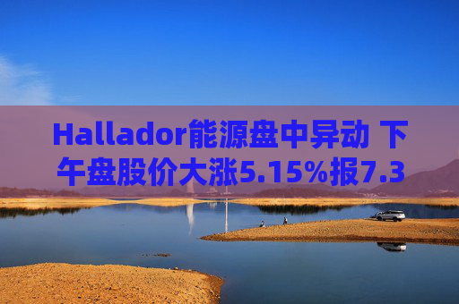 Hallador能源盘中异动 下午盘股价大涨5.15%报7.35美元  第1张