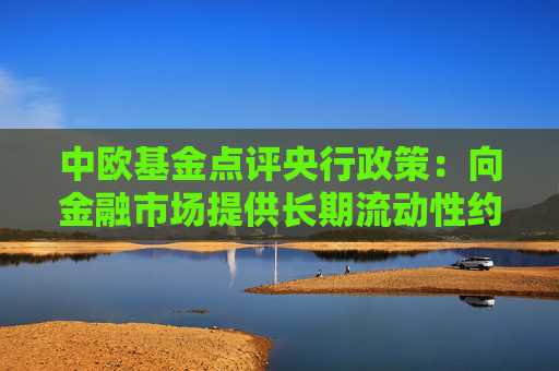 中欧基金点评央行政策：向金融市场提供长期流动性约1万亿 预计市场将出现结构性主导反弹行情