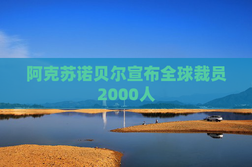 阿克苏诺贝尔宣布全球裁员2000人  第1张