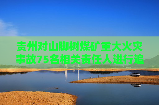 贵州对山脚树煤矿重大火灾事故75名相关责任人进行追责问责