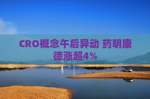 CRO概念午后异动 药明康德涨超4%